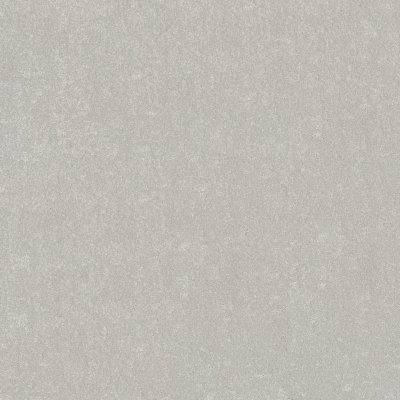 Shaw Basic Rules Mist