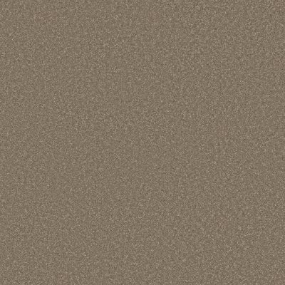 Shaw Way To Go III Chic Taupe