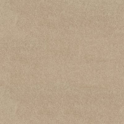 Shaw Newbern Classic 12' Crisp Linen