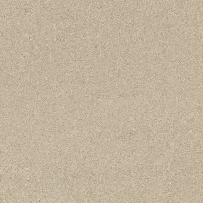 Shaw Dyersburg Classic 12' Ivory Tint