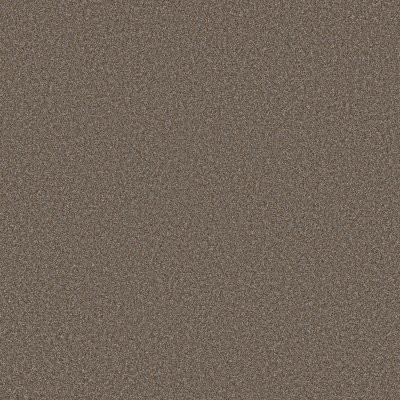 Shaw Tweed Comfort I Gathering