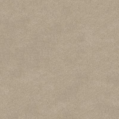 Shaw Keen Senses II Barista