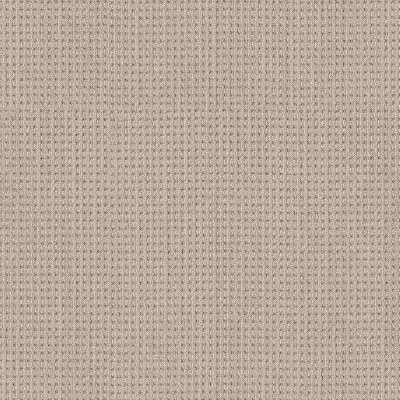 Shaw Finely Detailed Sun Bleached