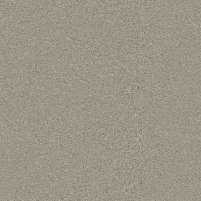 Shaw Way To Go III Taupe Tone