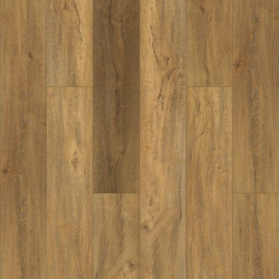 Shaw Pantheon HD Plus Foresta