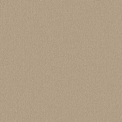 Shaw Canvas Comfort Blue Back Patio