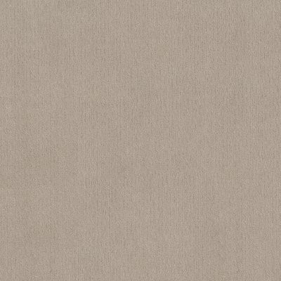 Shaw Insightful Way Studio Taupe