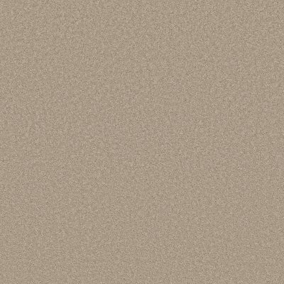 Shaw Velvet Touch II Chic Greige
