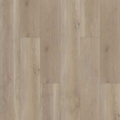 Shaw Paragon HD+ Natural Bevel Wisteria