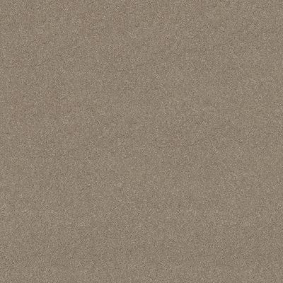 Shaw Newbern Classic 12' Antique Silk