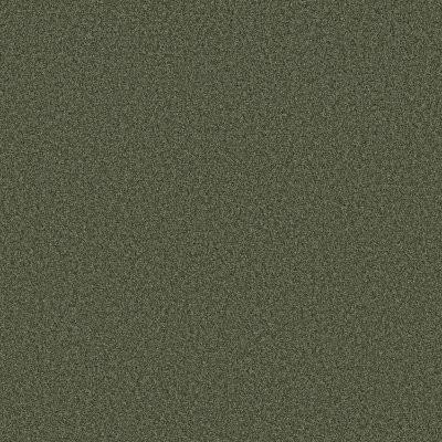 Shaw Tonal Comfort I Olive Grove