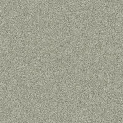Shaw Find Your Comfort TT II Willow Tree (T)