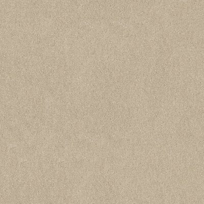 Shaw Origins Canvas