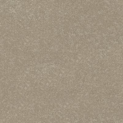 Shaw Basic Rules Vicuna