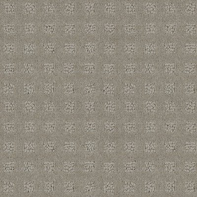 Shaw Alluring Disposition Lady In Gray