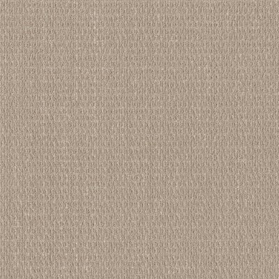 Shaw Cozy Embrace Natural Sisal
