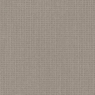 Shaw Finely Detailed Warm Taupe