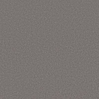 Shaw Blended Touch II Gray Granite