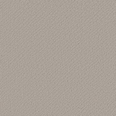 Shaw Chic Shades Split Sediment