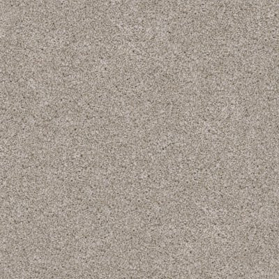 Dixie Home Floors Shepherd Maltese