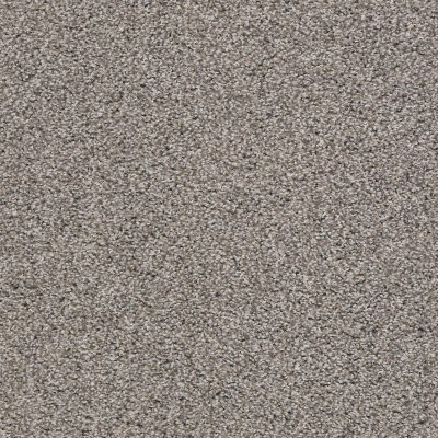 Shaw Poised Flannel Gray
