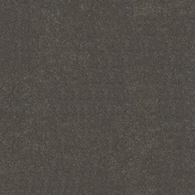 Shaw Basic Rules Steel