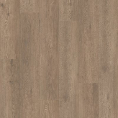 Shaw Paragon HD+ Natural Bevel Winthrop