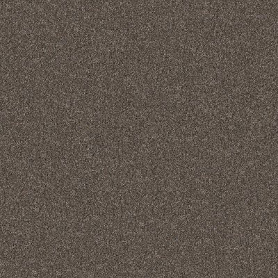 Shaw Yes You Can I 12' Cafe Noir