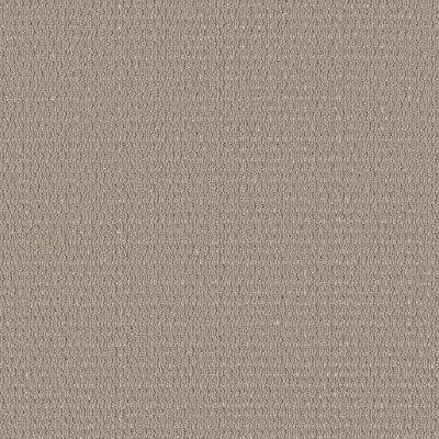 Shaw Cozy Embrace Warm Taupe