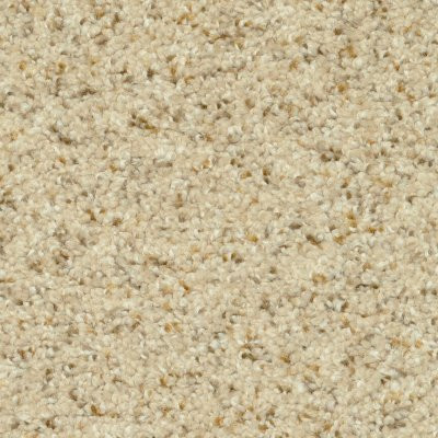 Dixie Home Floors Magic Moment Sand Motif