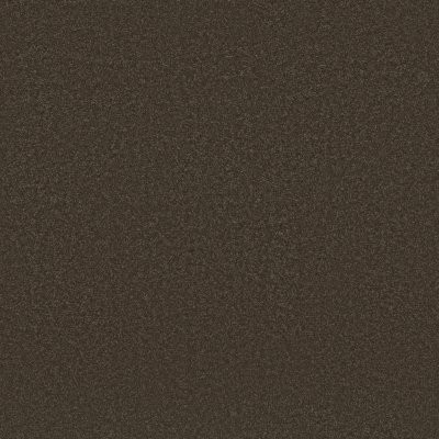 Shaw Awaken Spirit II 12' Wood Grain