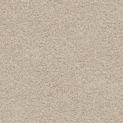 Dixie Home Floors Shepherd Bichon Frise