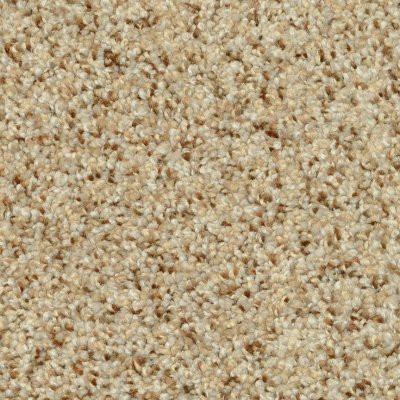 Dixie Home Floors Magic Moment Oatmeal Raisin