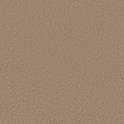 Shaw Color Flair Natural Wood