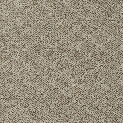 Dixie Home Floors Fine Art Sandbar