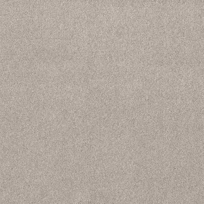 Shaw Live On Comfort Brushed Aluminu