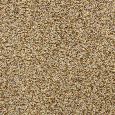 Dixie Home Floors Color Festival Impressionist