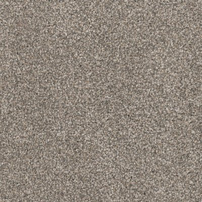 Dixie Home Floors Husky Greyhound
