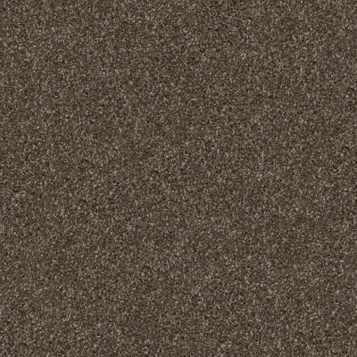Dixie Home Floors Labrador Dachshund