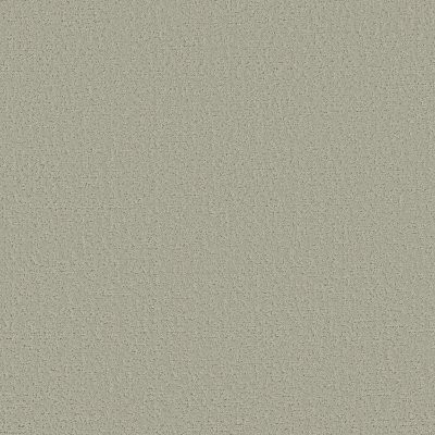 Shaw Canvas Comfort Blue Willow Tree