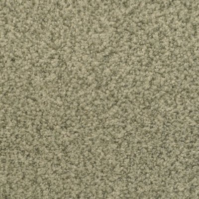 Dixie Home Floors Innovations Rain Forest