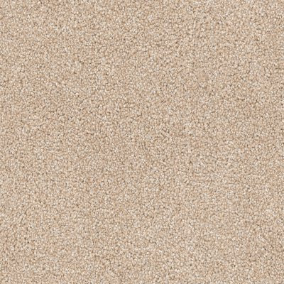 Dixie Home Floors Husky Corgi