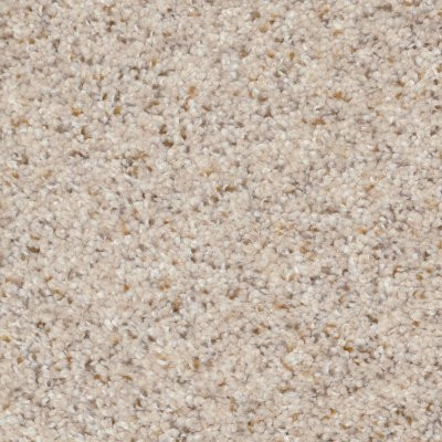 Dixie Home Floors Treasured Moment Sand Motif