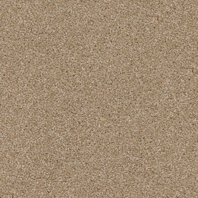 Dixie Home Floors Labrador Corgi