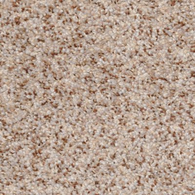 Dixie Home Floors Treasured Moment Oatmeal Raisin