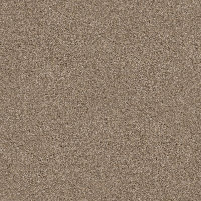 Dixie Home Floors Labrador Shar-Pei