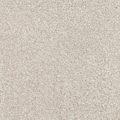 Dixie Home Floors Great Dane Pomeranian
