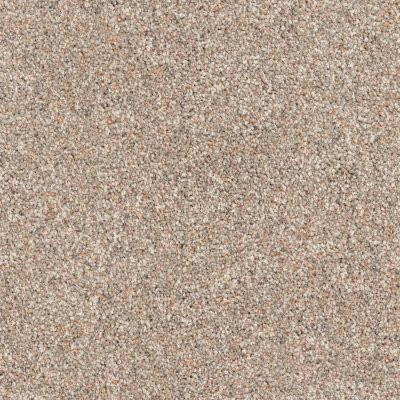 Dixie Home Floors Husky Canine