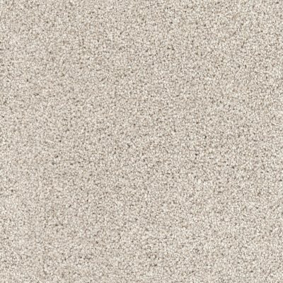Dixie Home Floors Husky Pomeranian