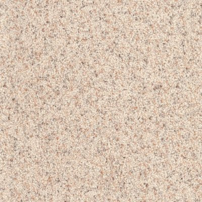 Dixie Home Floors Husky Pet